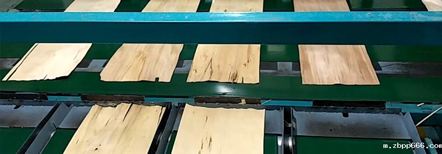 星空体育在线入口下载