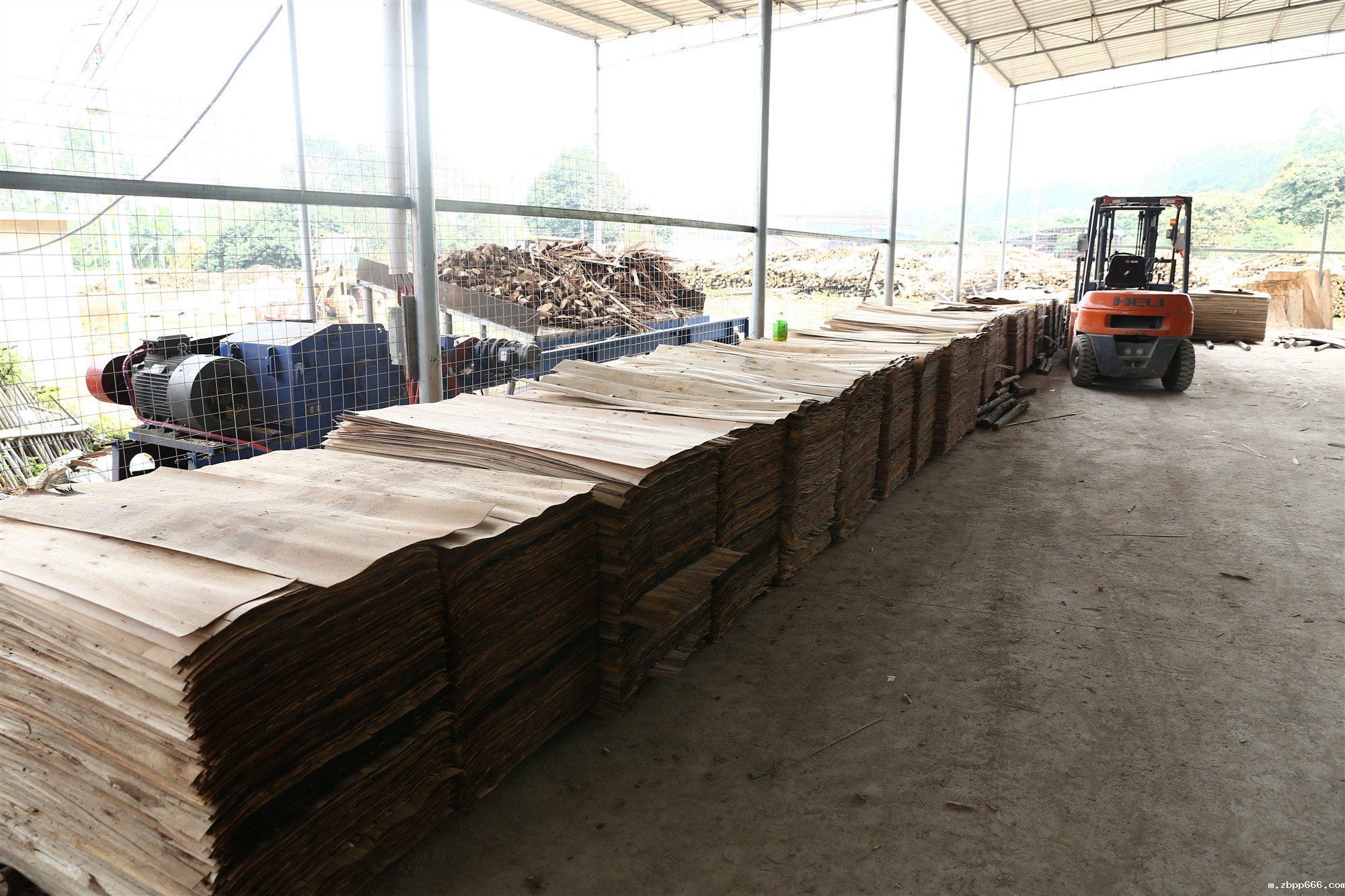 星空体育在线入口下载 星空体育在线入口下载