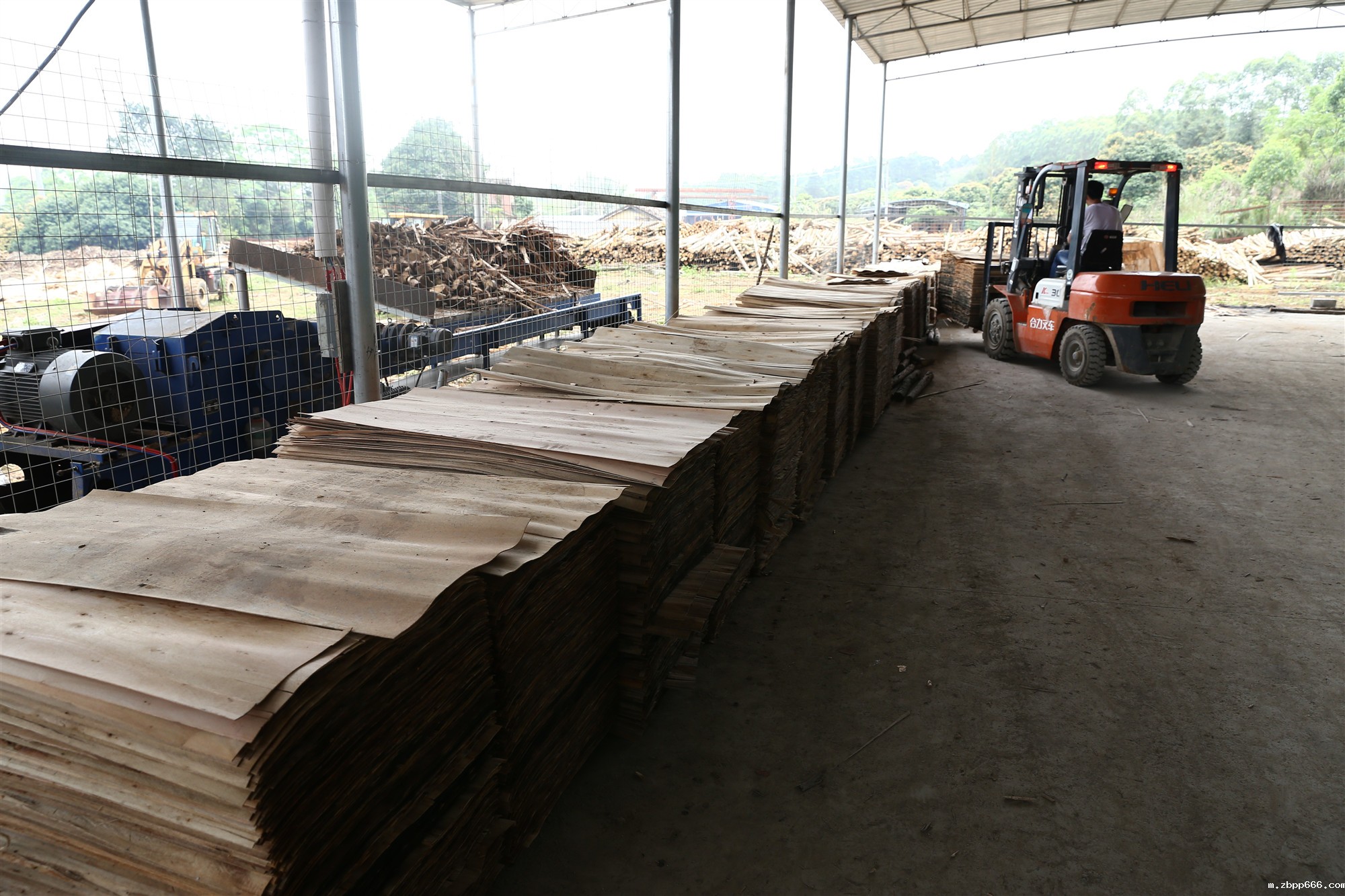 星空综合体育入口 星空综合体育入口