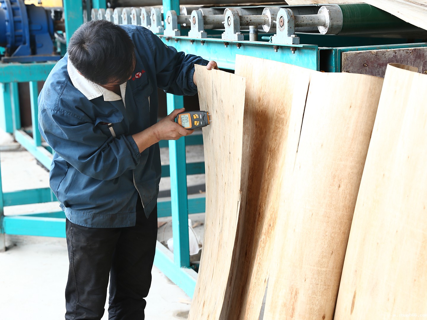 星空综合体育入口 星空综合体育入口