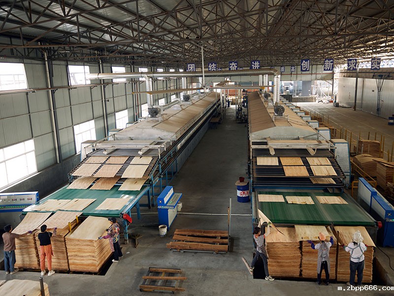 单板烘干设备 单板烘干设备