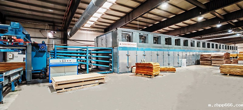 木皮烘干设备.jpg 木皮烘干设备.jpg