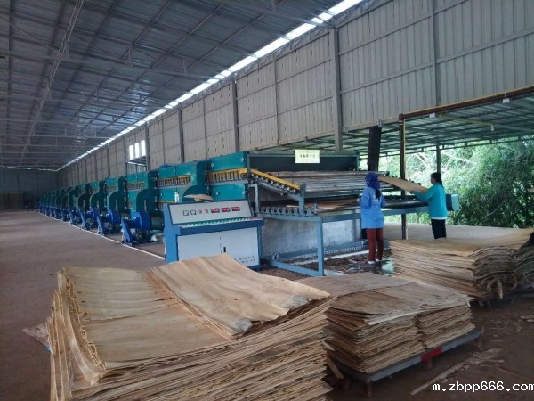 咸宁单板干燥机厂家