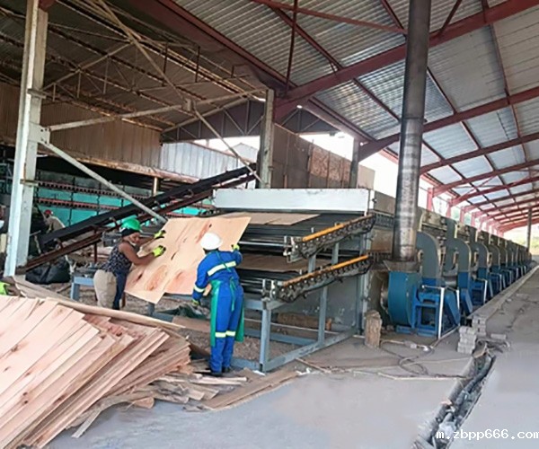 东营杨木单板干燥机