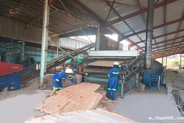 玉树木片烘干机价格