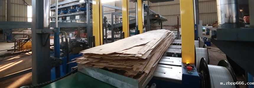 大型星空体育莱切app下载